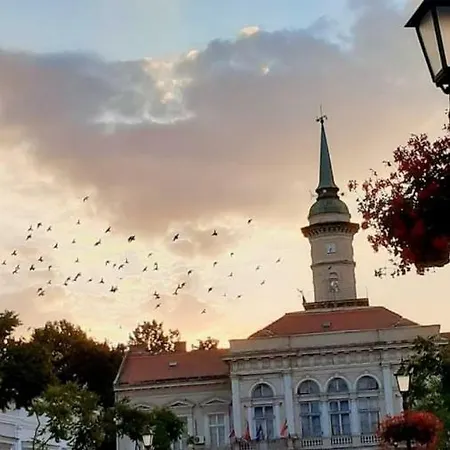 Apartment Stefi Becej